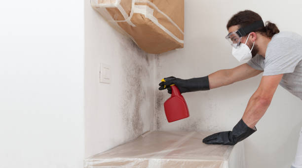 Professional Crawl Space Mold Remediation technician working in Jenkintown, PA
